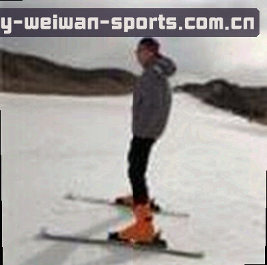 孙莉